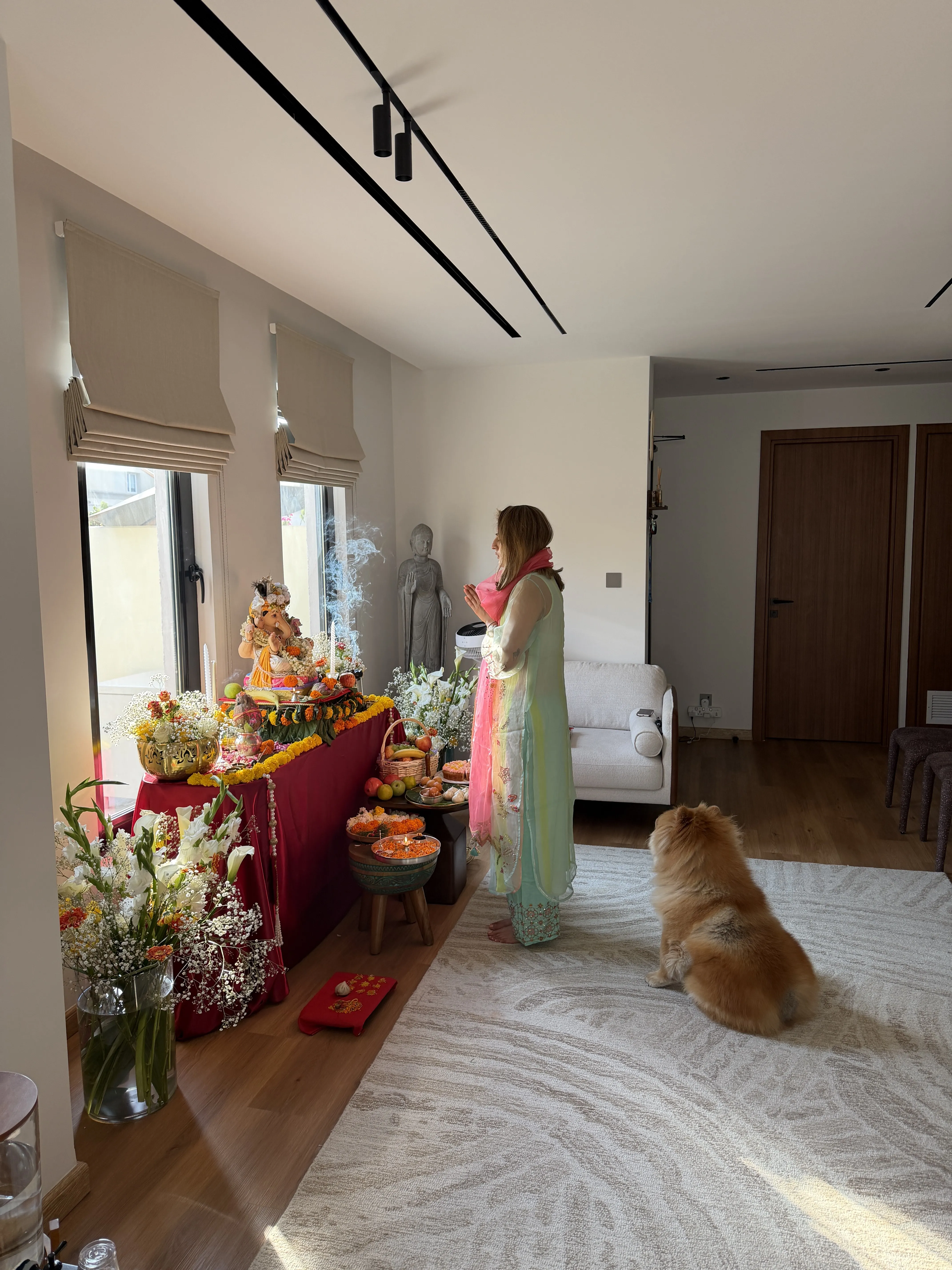 chow-chow-training