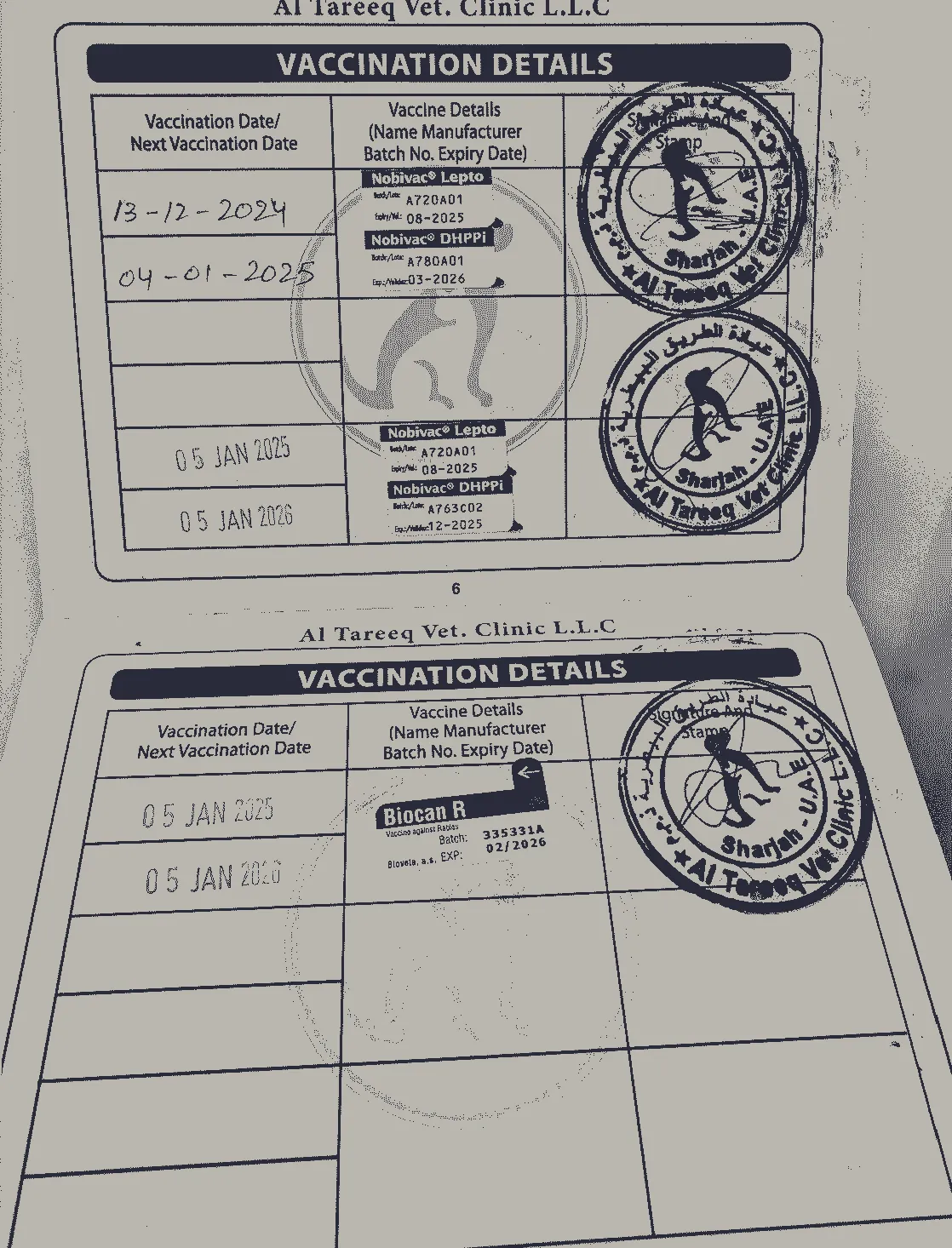 A Peek Inside Zoey’s Pet Passport – Everything It Holds!