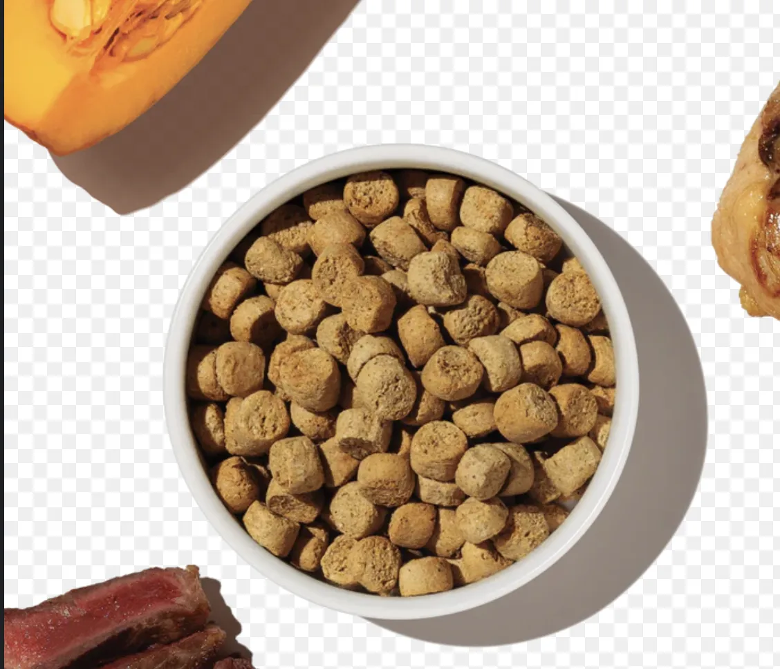 Choosing the Right Kibble for Your Chow Chow (Allergy-Friendly Edition!)
