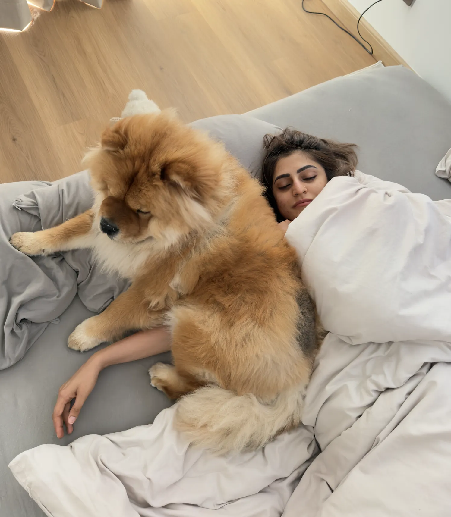 5 Things People Always Ask Us About Chow Chows (And How Zoey Proves Them Wrong) 🦁🐾