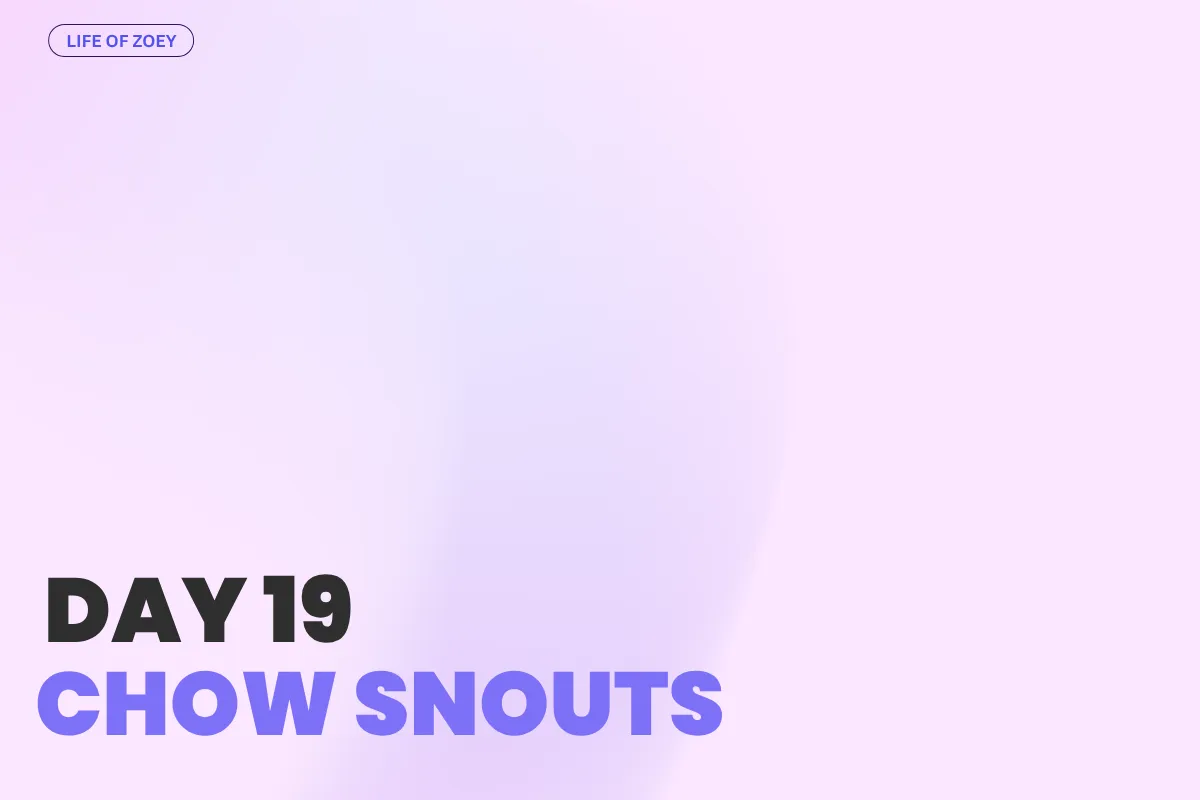 Day 19 - Chow Chow Snouts: From Lions to Foxes – How Face Shapes Change Their Look 🐾🦁