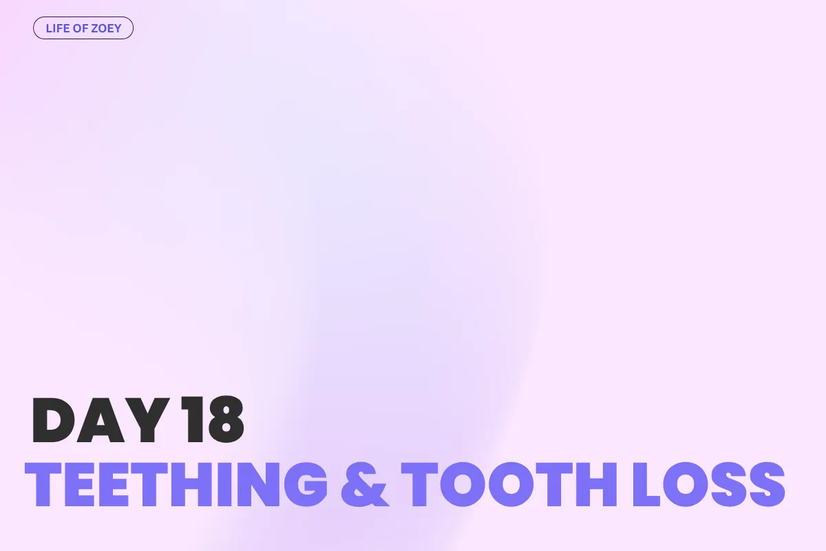DAY 18 - Teething & Tooth Loss in Chow Chow Puppies: What We Learned from Zoey’s First Tooth Drop! 🦷🐾