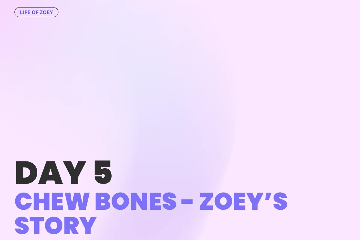 DAY 5 - Best Chew Bones for Puppies: What to Pick & What to Avoid (Zoey’s Story!)